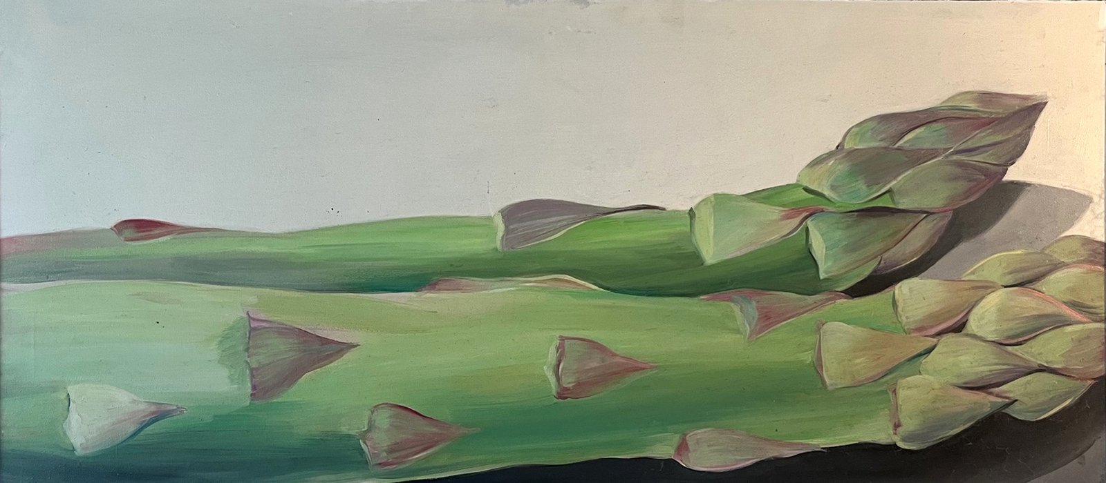 Asparagus, artwork by Adele Schnapp